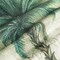 Tropical Palm Tree Throw Pillow Covers 18 x 18 Inch Vintage Green Leaf Decorative Pillow Cases Polyester Linen Cushion Covers for Couch Sofa Indoors Outdoors Decor Set of 4